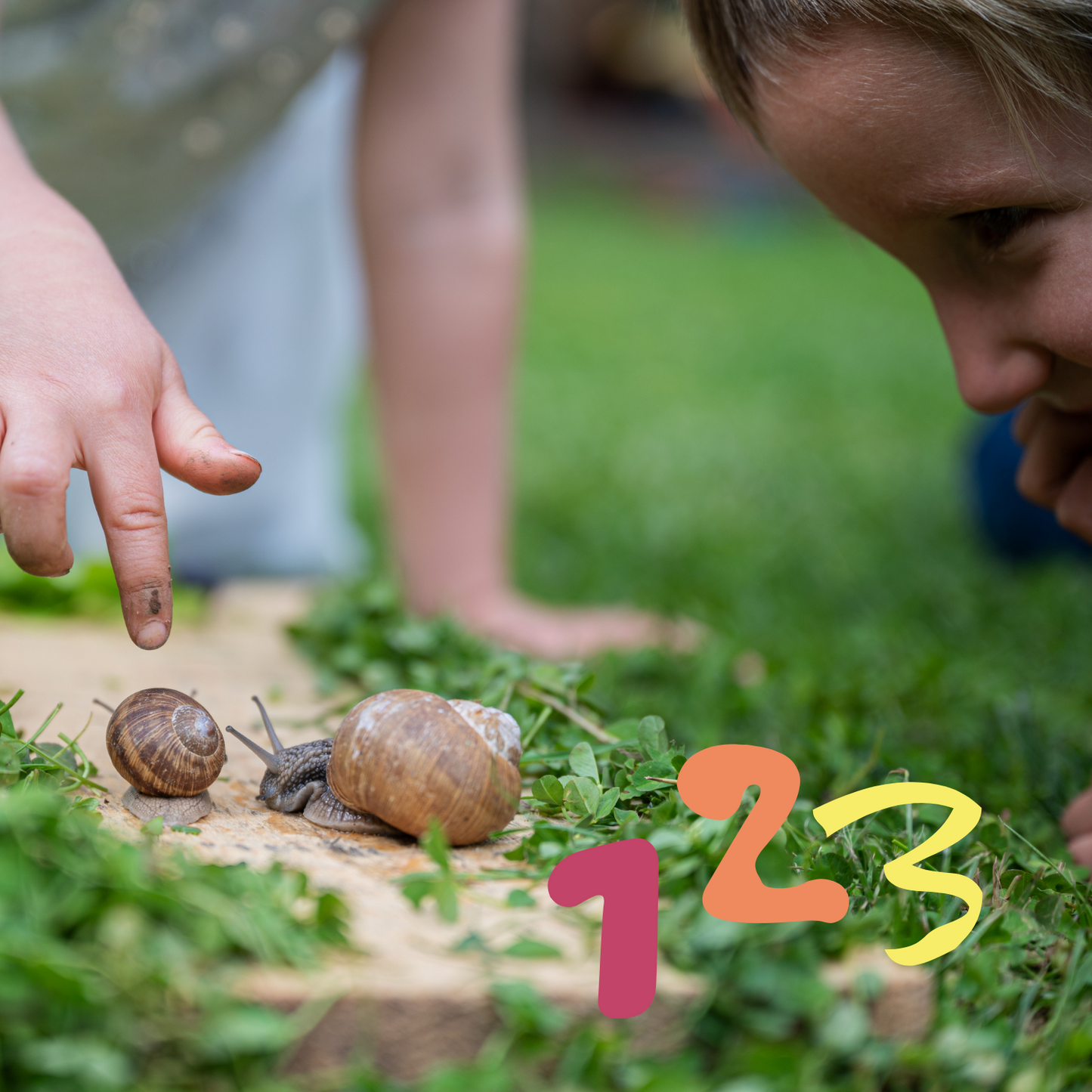 Adventure Game: What Counts?  (Digital Printable)